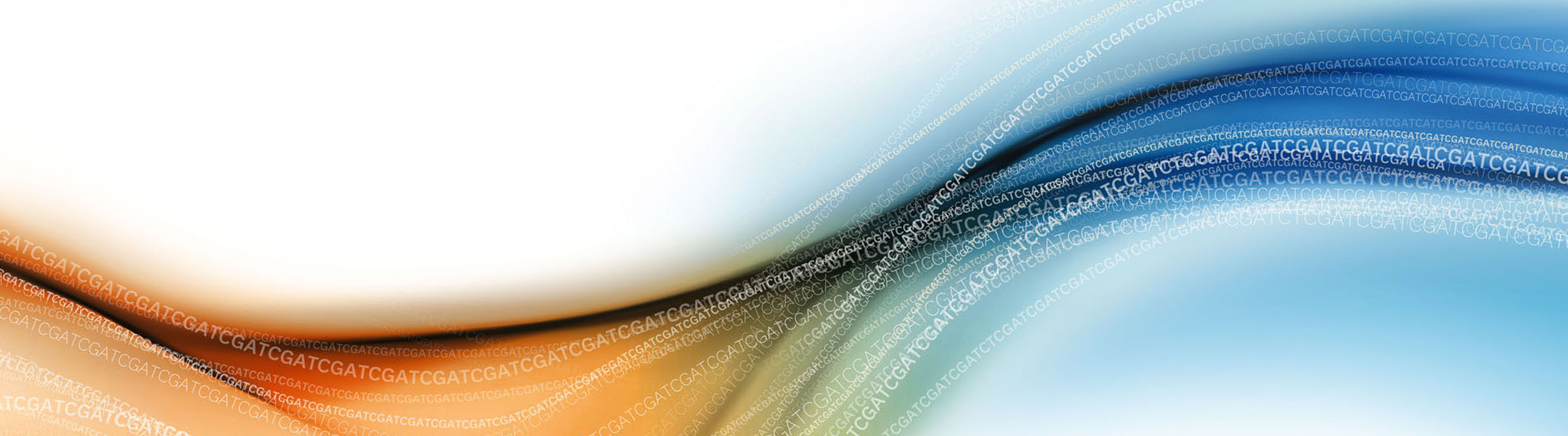 Slide background